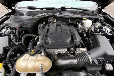 2019 Ford Mustang Eco